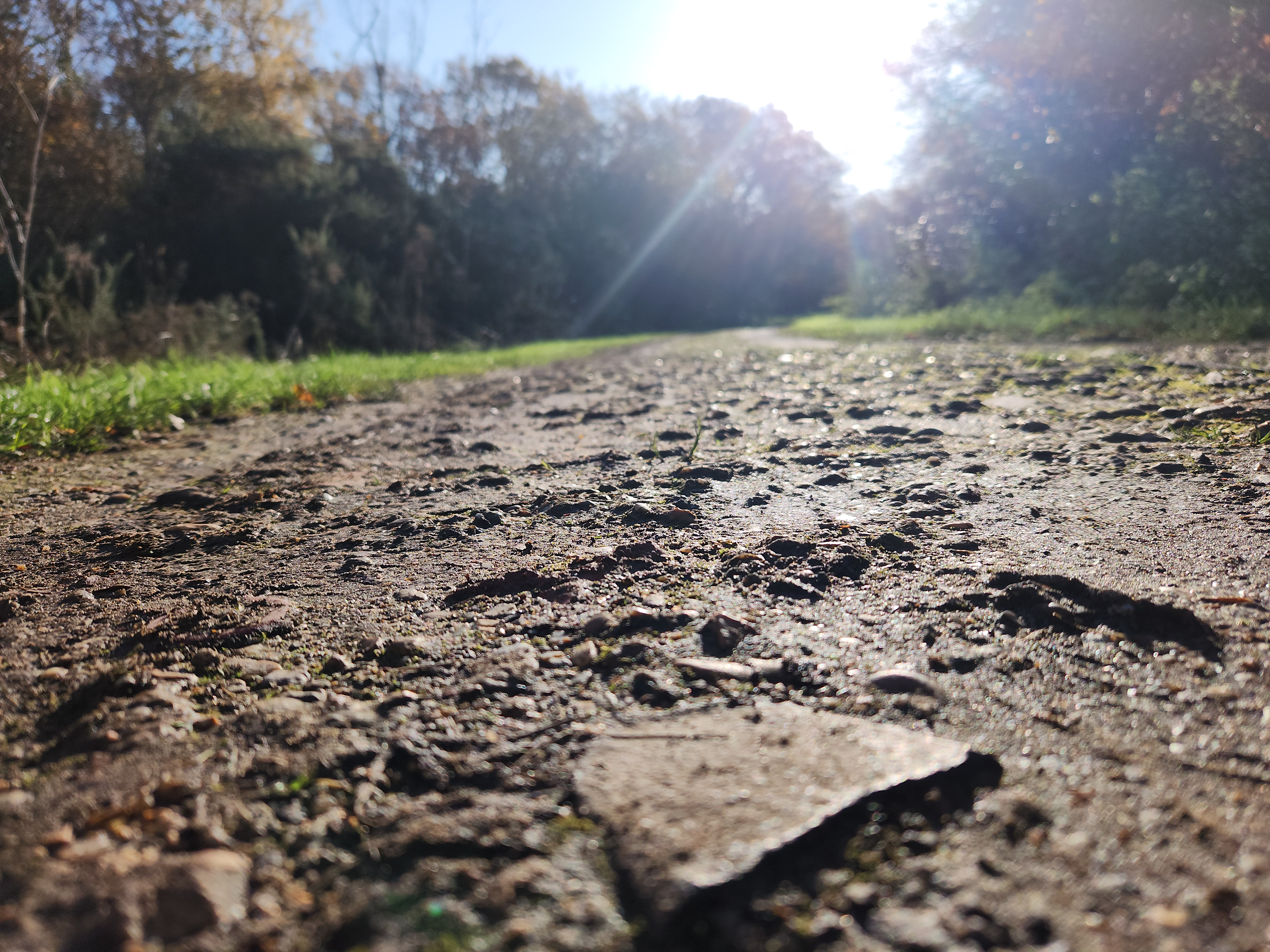 5K Steps community walk — session photo 1