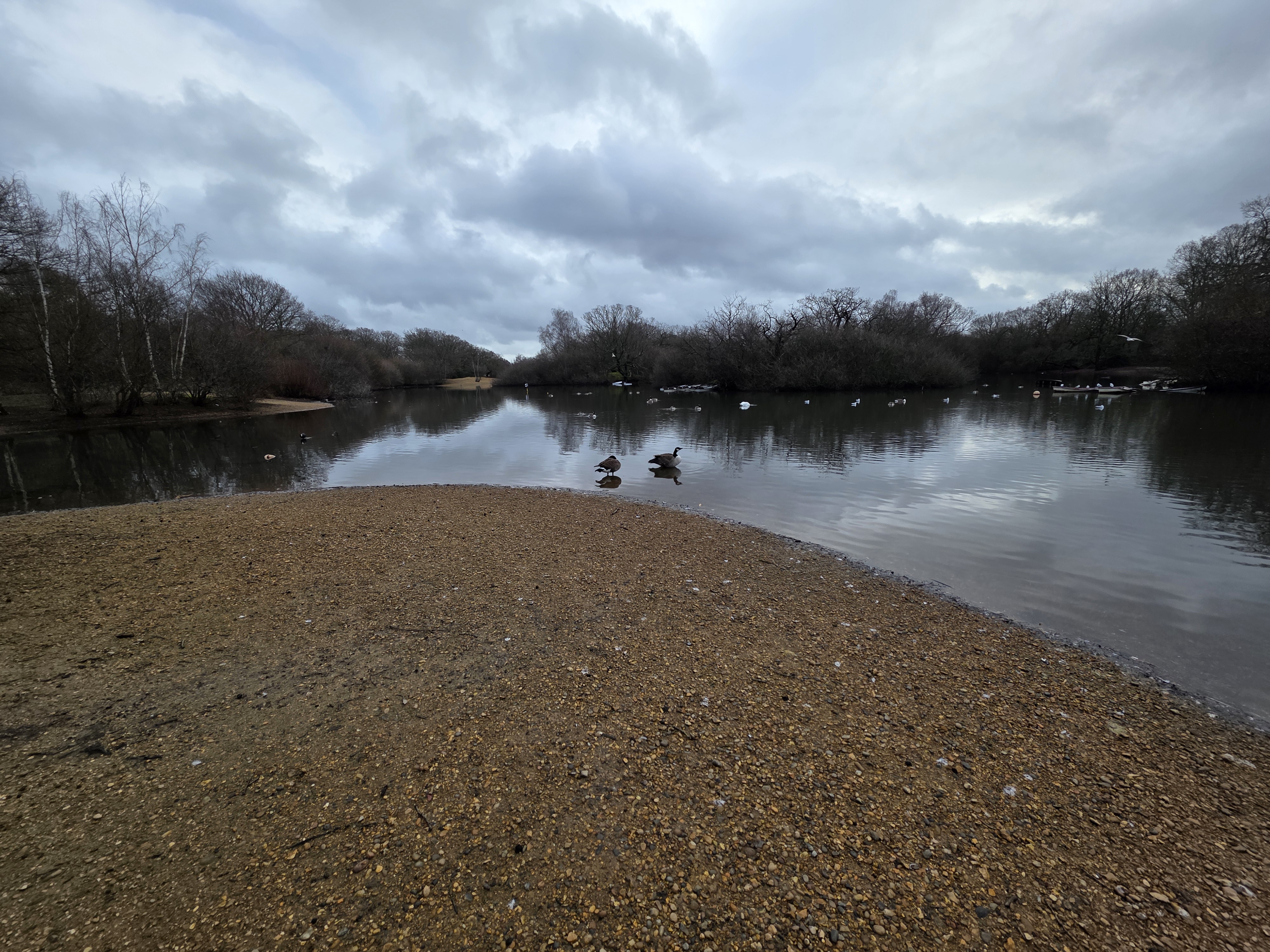 5K Steps community walk — session photo 8